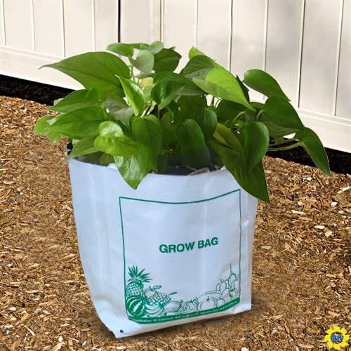 COMPOSTABLE GROW BAG